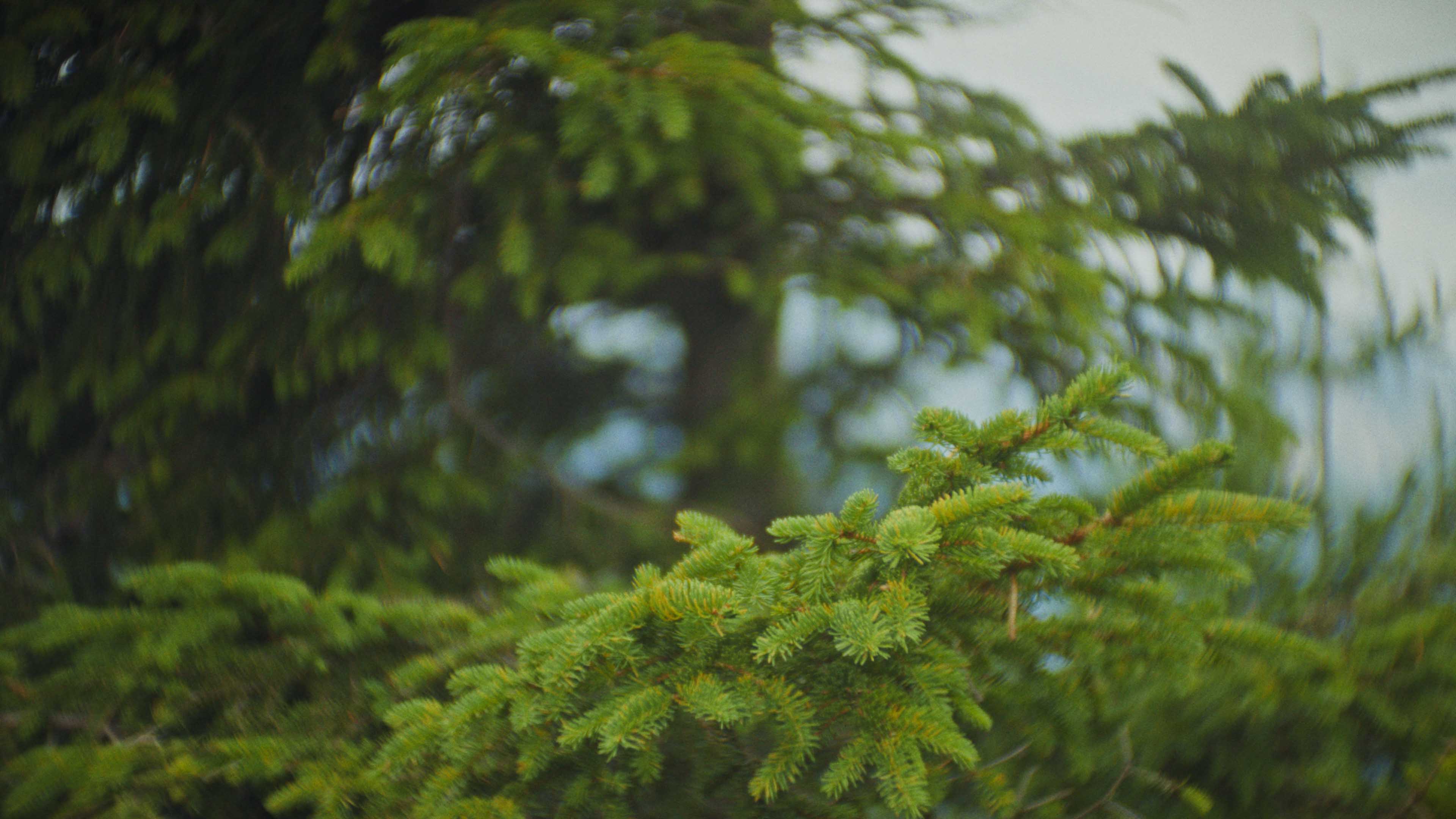 Silhouette of a helmeted racing driver at dusk, mountain skyline faintly visible under violet sky.